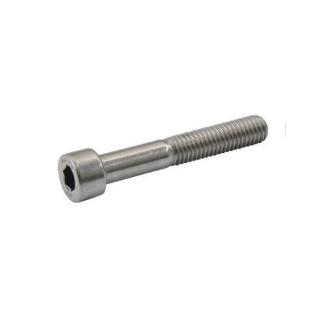 rvs cilinderkopbout M5 x 25